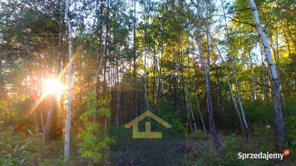 Działka budowlana w Niechnabrzu Niechnabrz