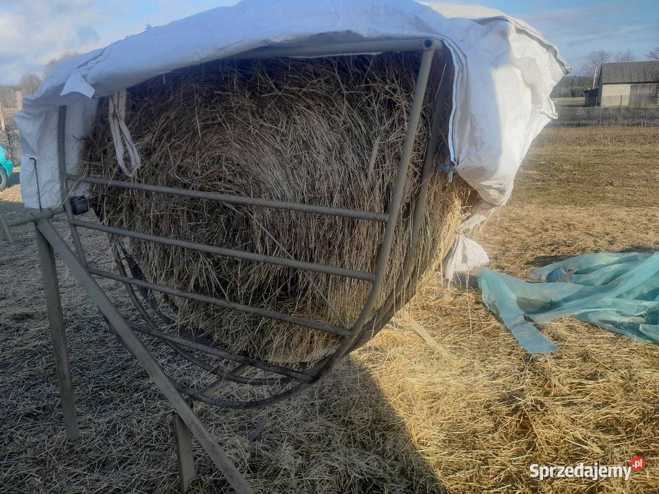 Pasnik owiec koz bydla Czajków