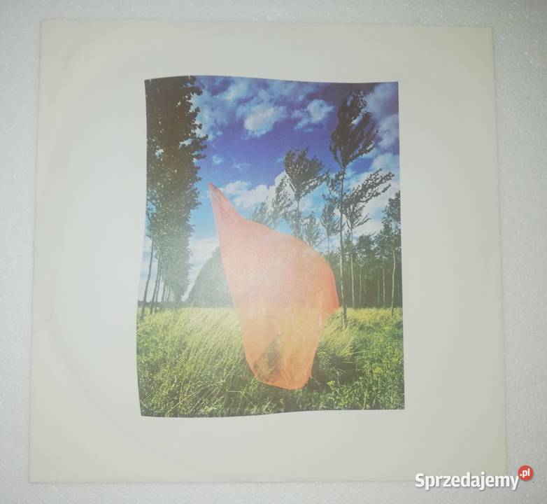 Pink Floyd Wish You Where Here 1Print rock