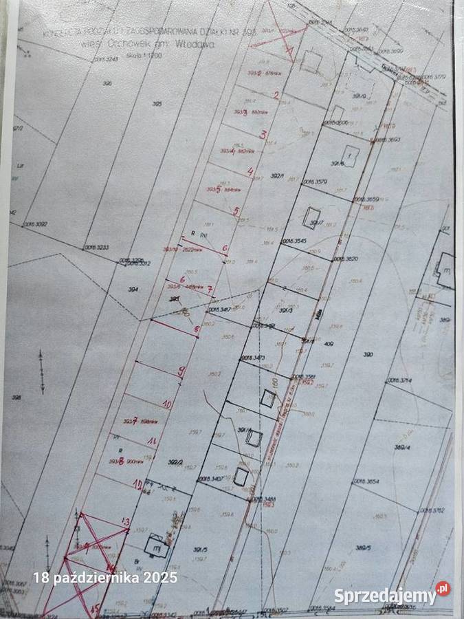 Jezioro Białe Okuninka Włodawa Orchówek