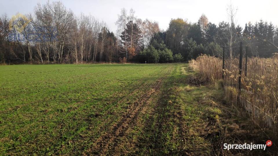 Sprzedam działki budowlanousługowe w Lubiejewie Lubiejew sprzedam