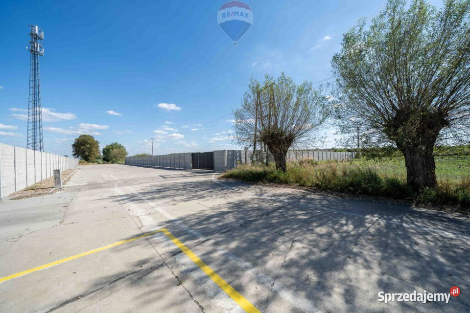 wynajmu Nowy Tomyśl Nieruchomości