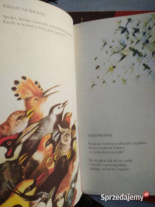 Złoty młynek książki dziecięce prezenty Antykwariat Warszawa