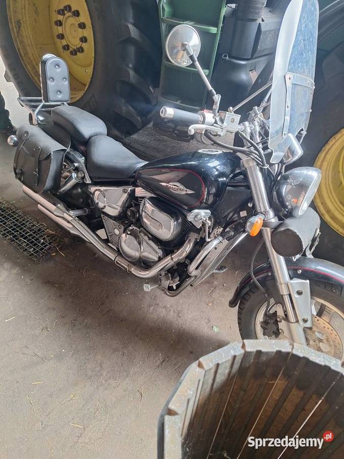 Suzuki maruder 800 chopper Gniezno
