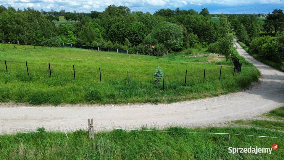 Sprzedam działkę rekreacyjną Morąg Raj 1730m2