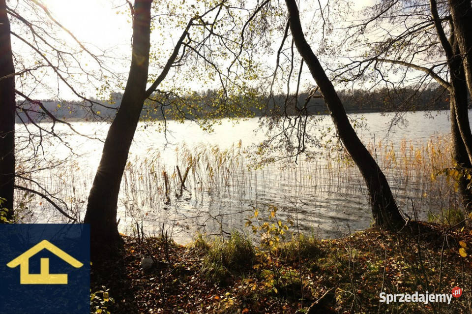 Działka z linią brzegową jeziora Sprzedaż