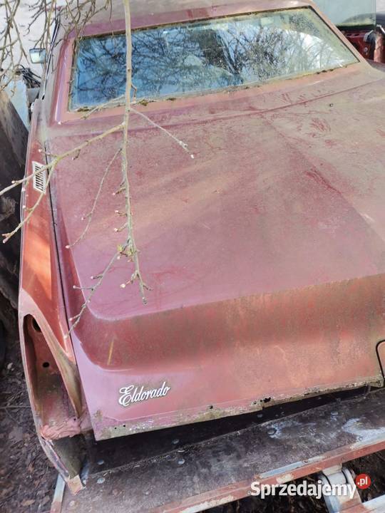 Cadillac eldorado Gubin
