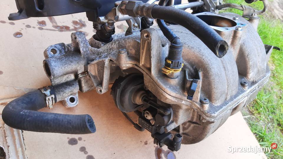 kolektor ssący opel vectra c zafira a 18 16V osobowe Dębno