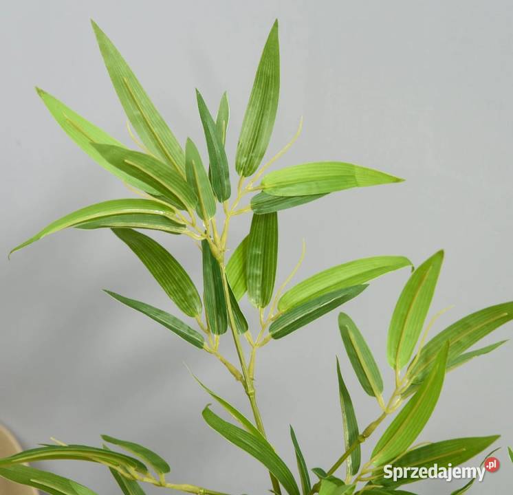 Sztuczny bambus dekoracja drzewka Brzesko