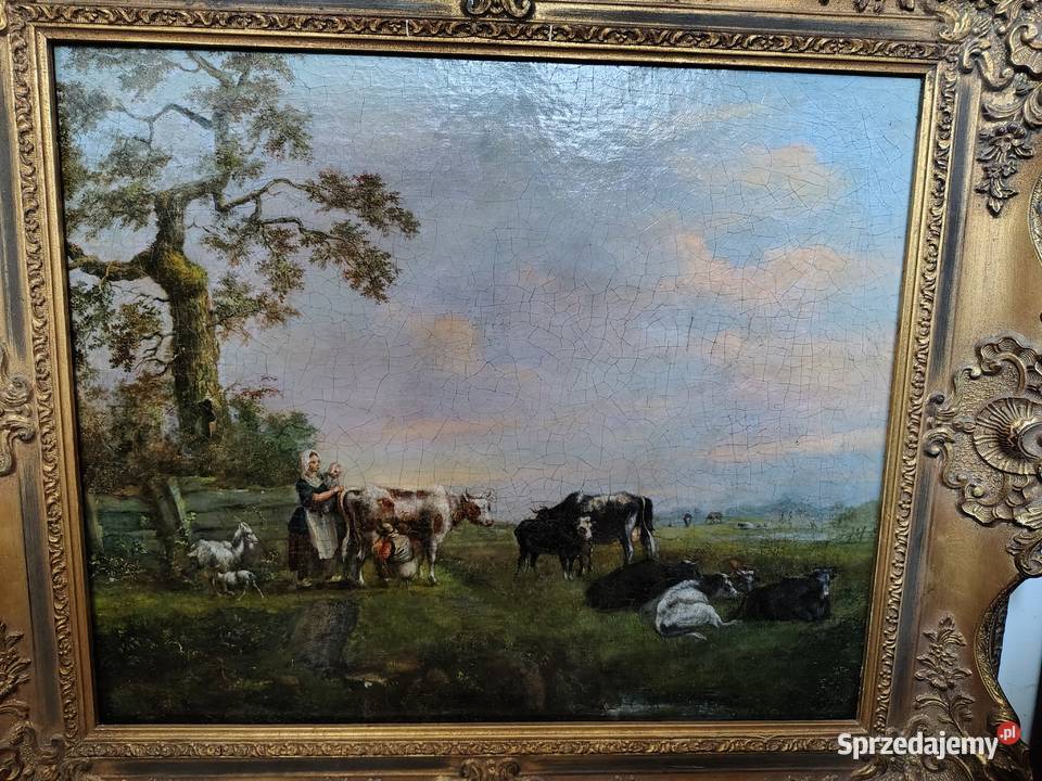 Stary obraz Krowy pomorskie Kartuzy