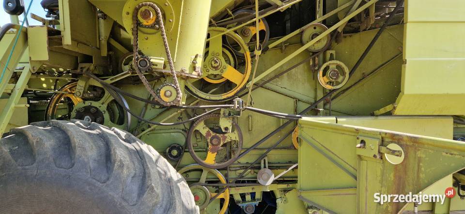 Fortschritt MDW 524 Stół do Rzepaku Bizon Claas Rybczewice Pierwsze