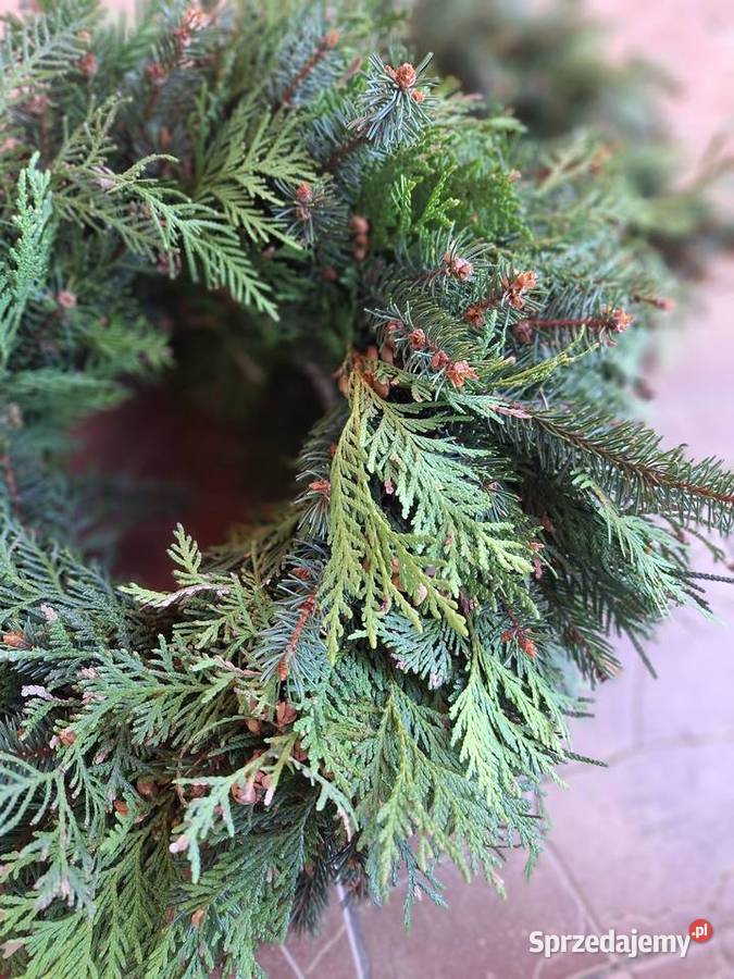 Wianki naturalne Wianki Warszawa