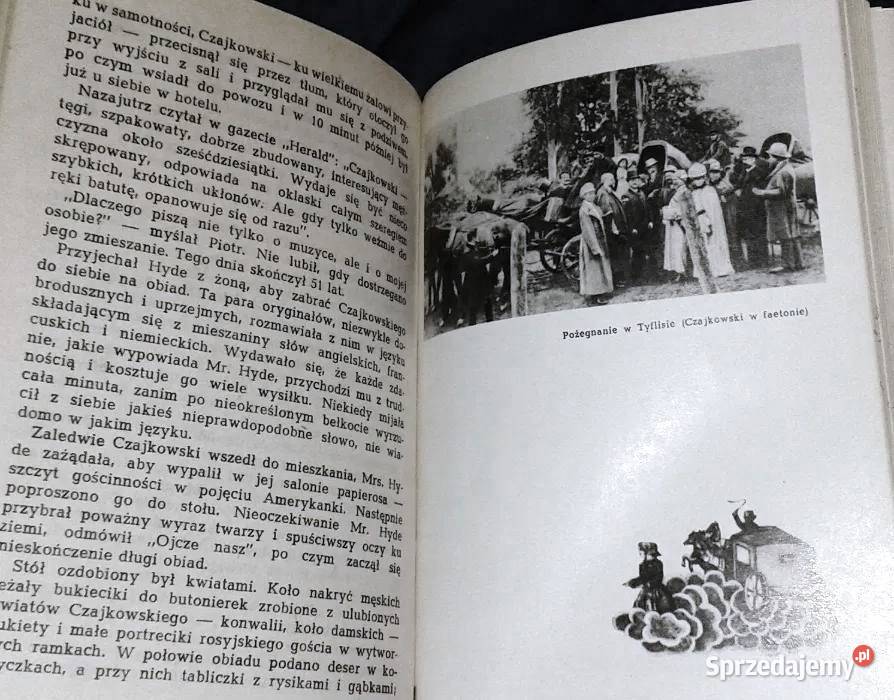 Symfonia tęsknoty i nadziei Powieść o Chełm