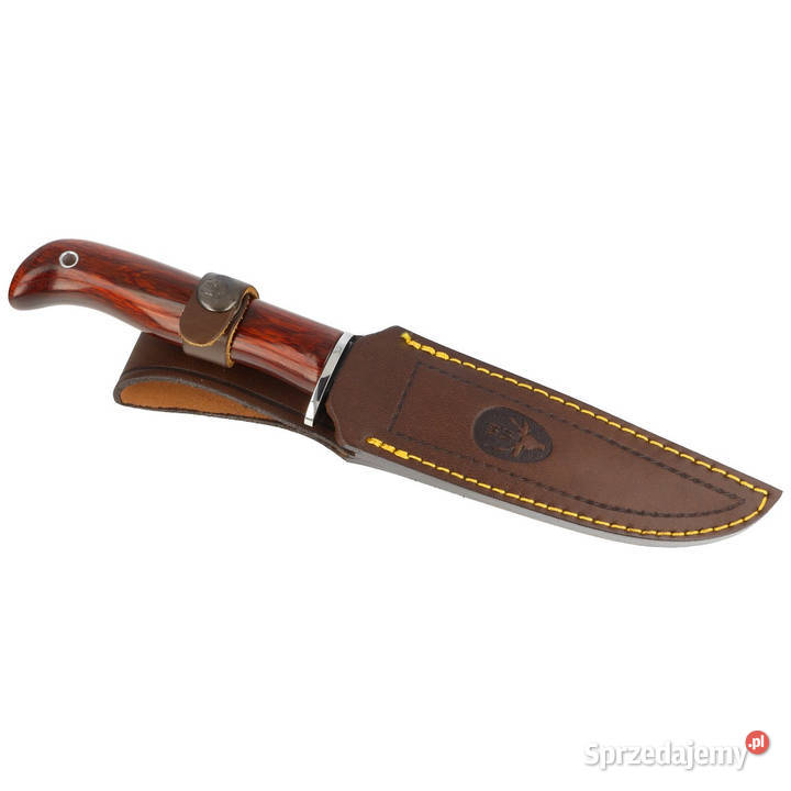 Nóż Muela Gredos Coral Wood Satin X50CrMoV15 Warszawa