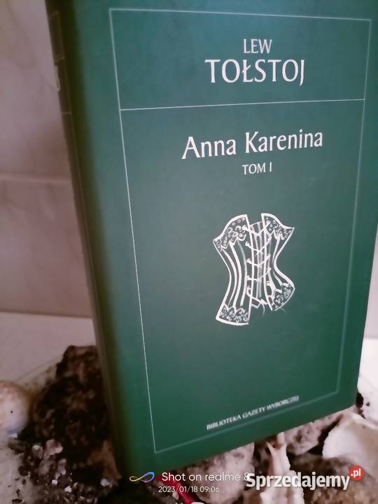 Anna Karenina Tołstoj książki rosyjskie twarda z obwolutą Warszawa