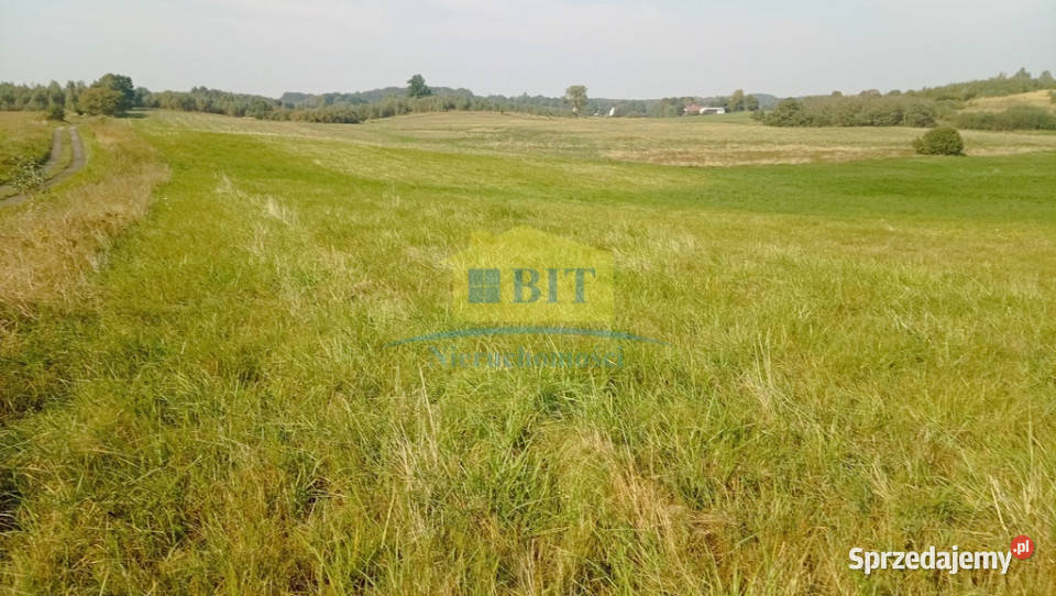 Działka budowlana 584 ha 250m jez Drawsko Warniłęg