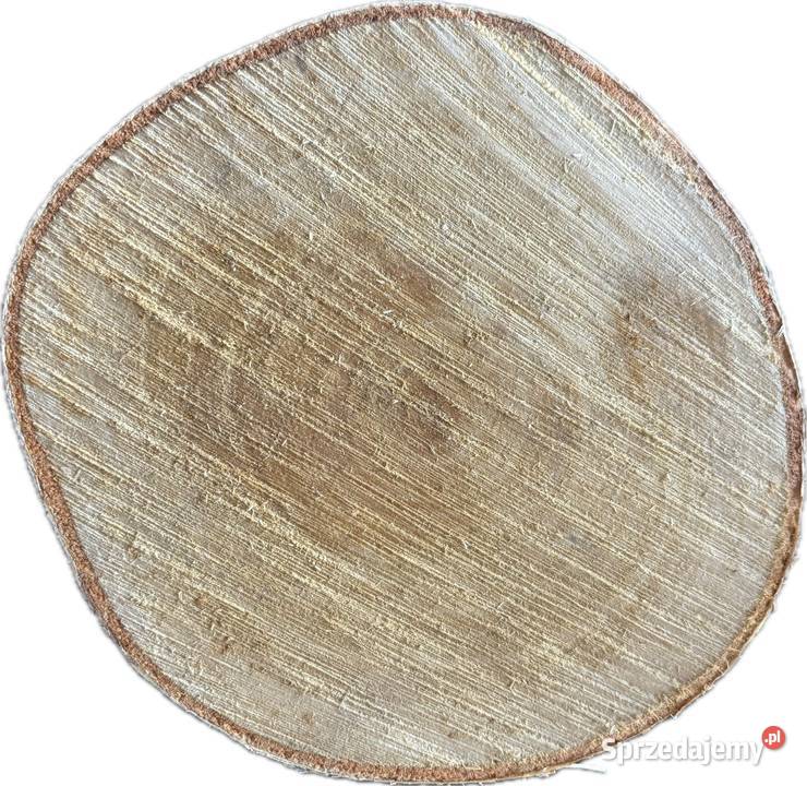 Plastry Krążki Brzozy Rękodzieło Kroczyce