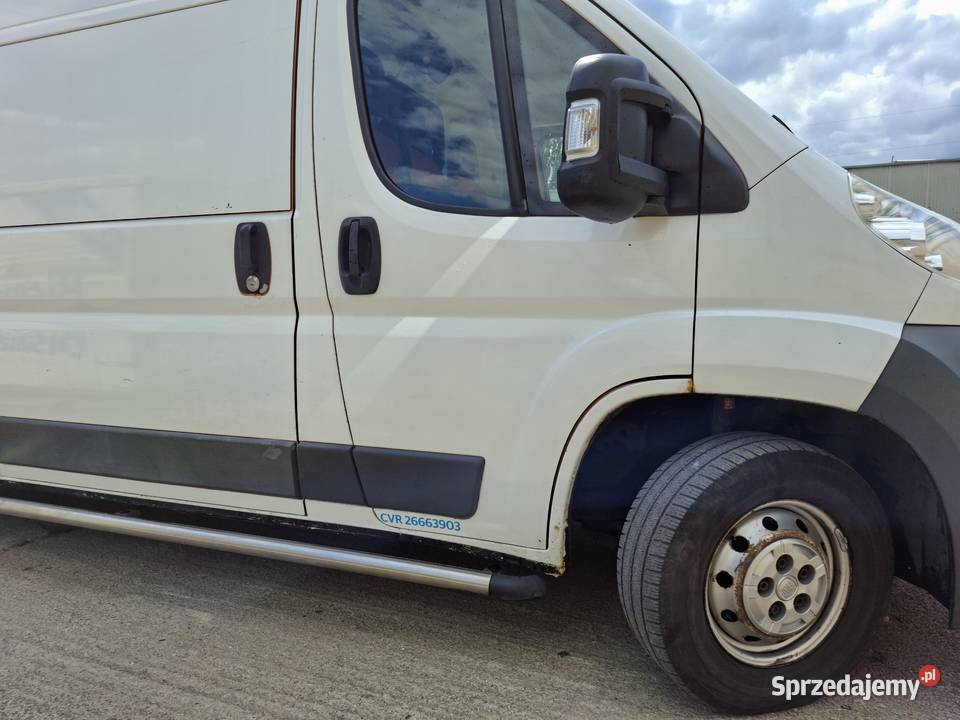 Fiat Ducato Gniezno