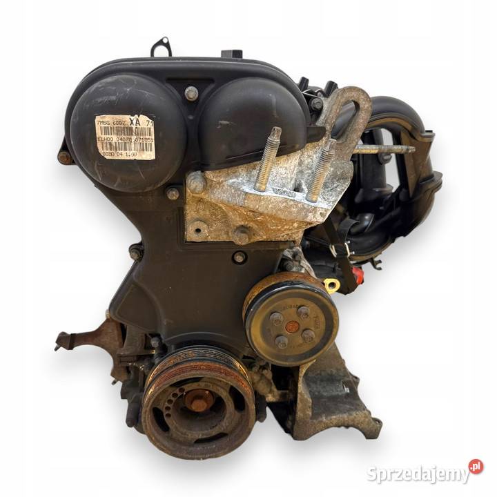 SILNIK SHDA Ford Focus II MK2 C C 16 16V 100 osobowe Chełm