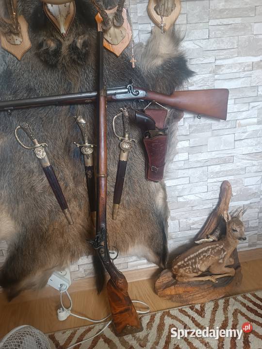 Karabinek skalka małopolskie Tarnów