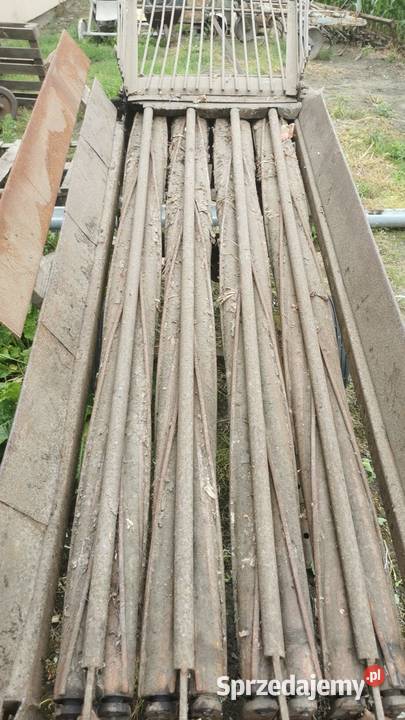 Obcinaczka wałkowa do cebuli Chełmce