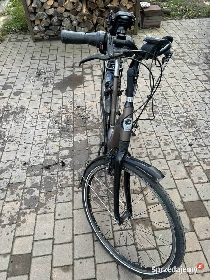 Rower elektryczny zmieni właściciela Gazelle Lubin