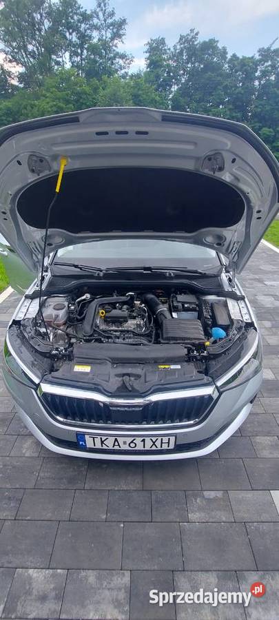 Skoda scala Kazimierza Wielka
