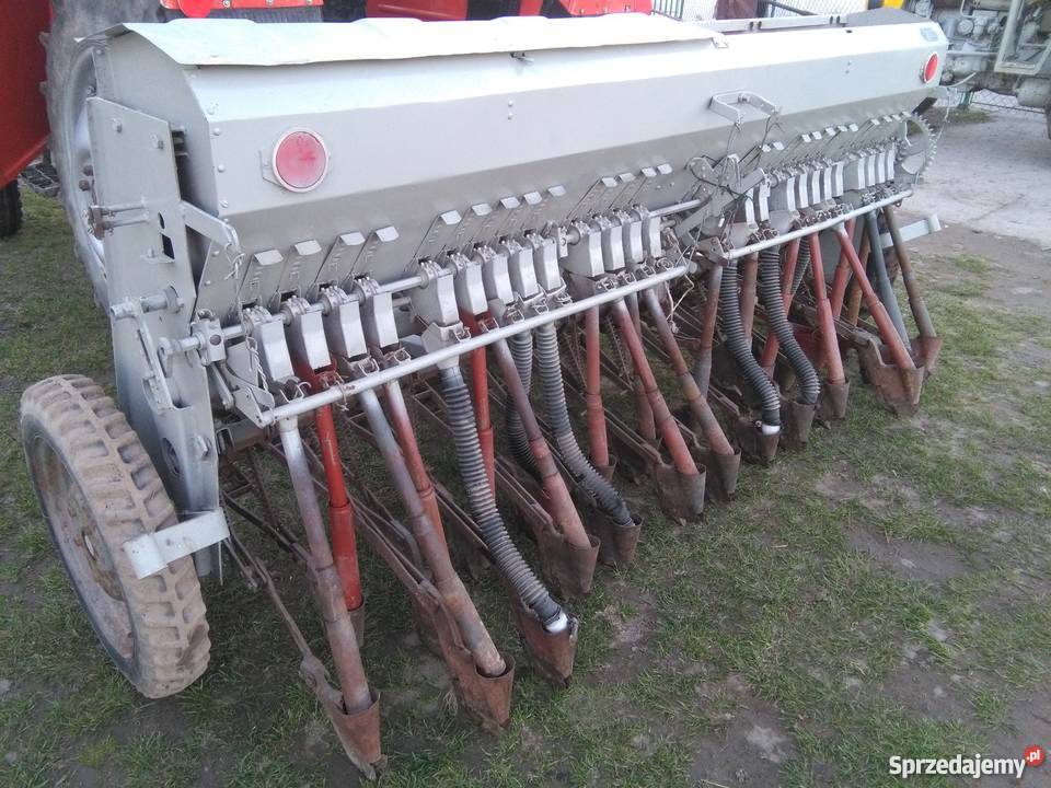 Siewnik Poznaniak podkarpackie