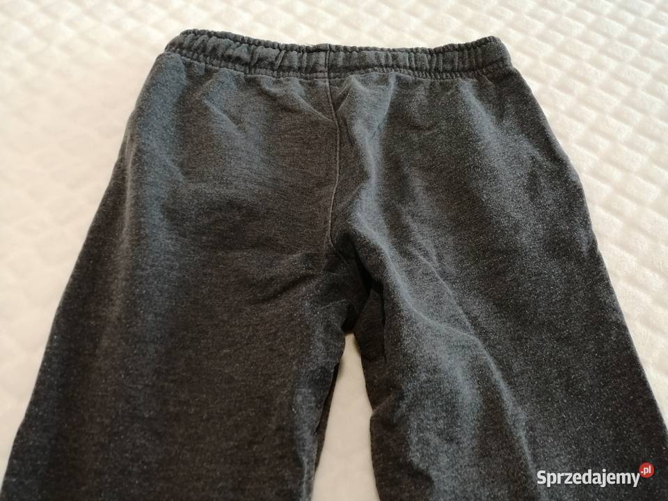 Spodnie dresowe szare 110 Little kids Odzież śląskie Czeladź