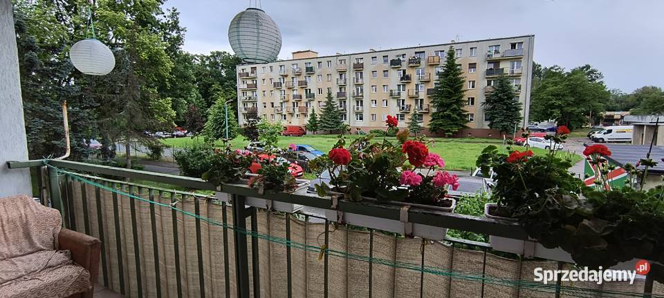 Sprzedam mieszkanie 4 pokojowe Wrocław Psie Pole Sprzedaż