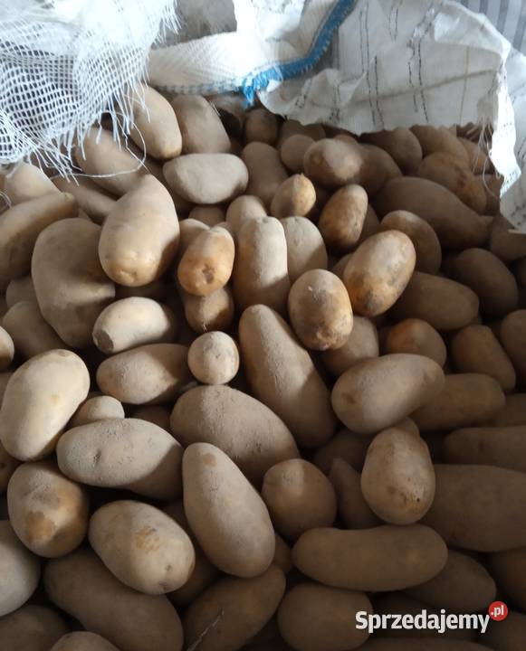 Ziemniaki jadalne sprzedam