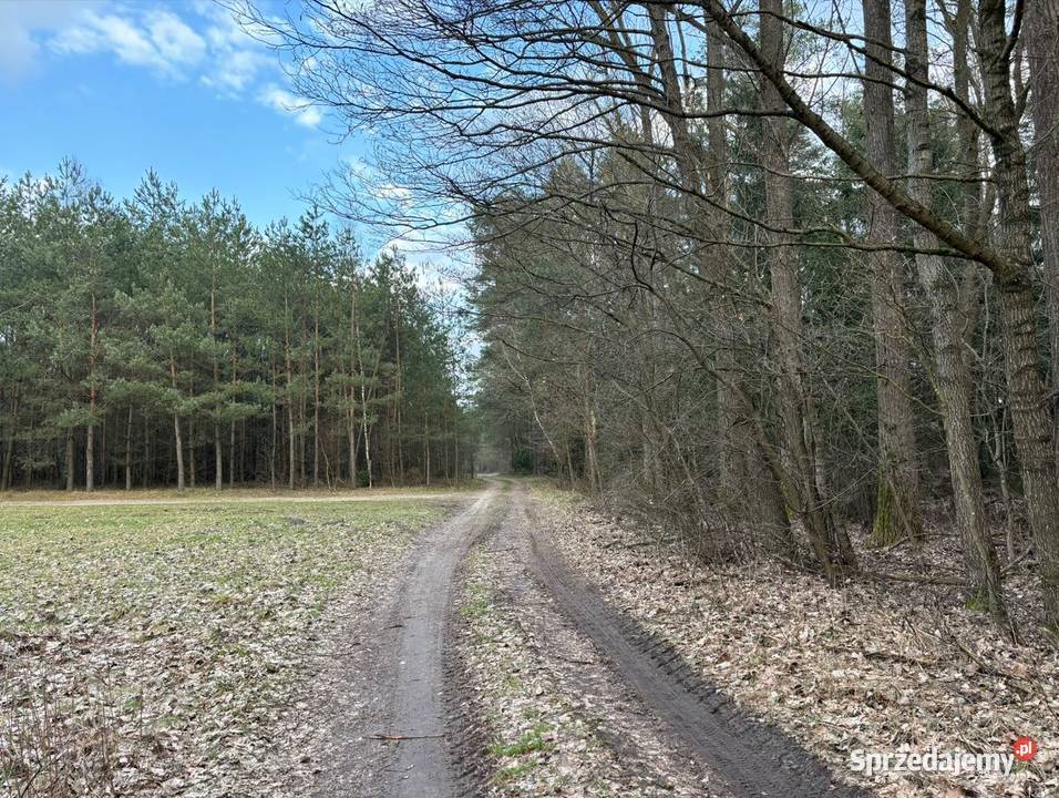 Działki 240 ha w Nagoszewie gm Ostrów Mazowiecka 33.4m Nagoszewo