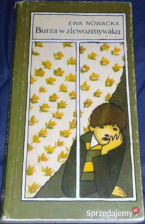 Burza w zlewozmywaku Ewa Nowacka lubelskie Chełm