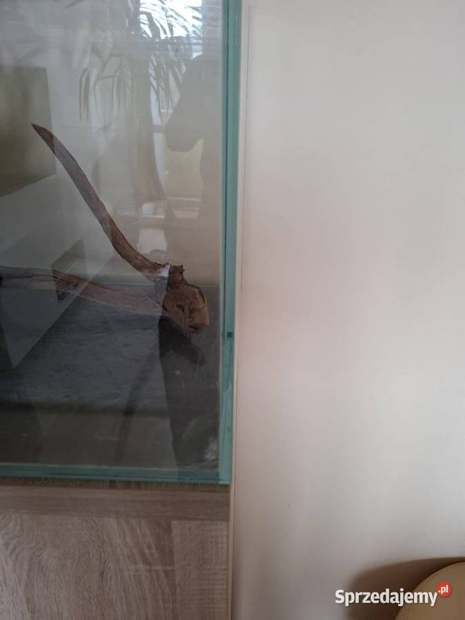 Szafka pod akwarium telewizor mazowieckie Warszawa