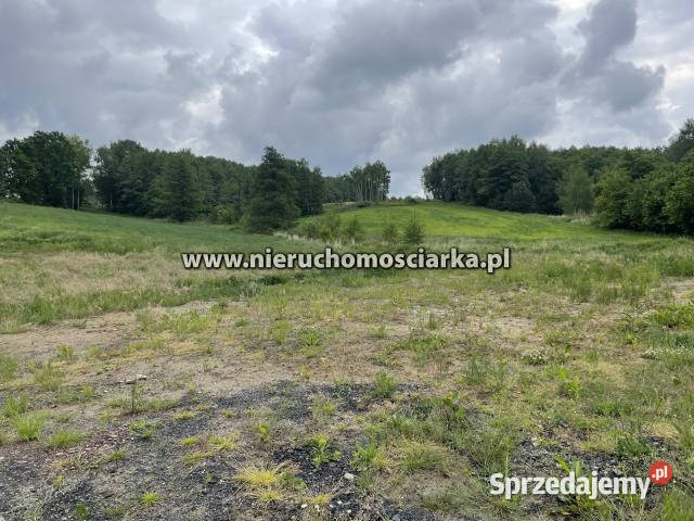 Działka 968m2 Wodzisław Śląski sprzedam
