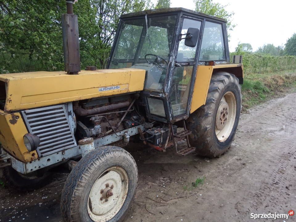 Ursus 1201 Ponikwy sprzedam