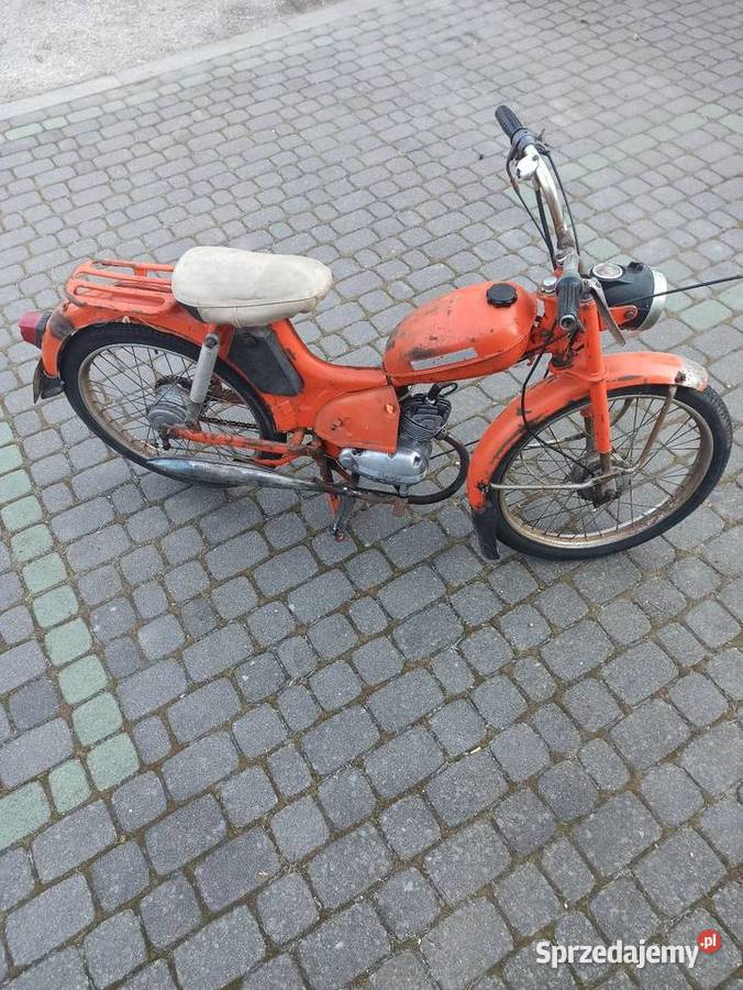 Komar rozebrany dowód