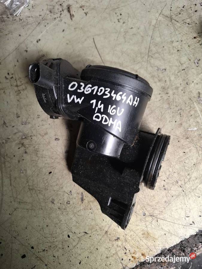 VW SEAT SKODA 14 16V BXW odma 036103464AH Kielce