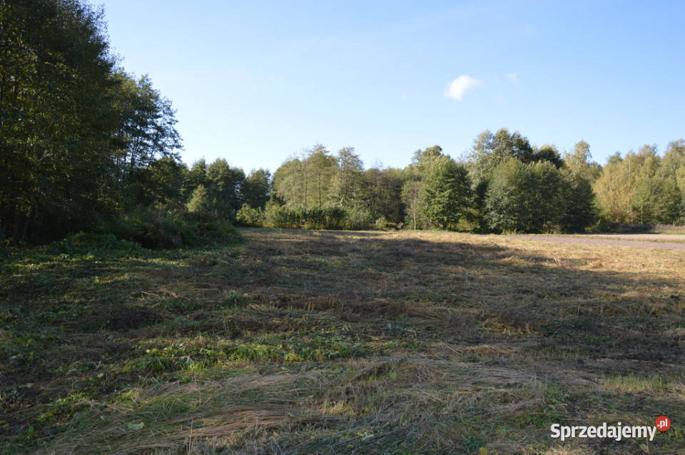 Duża działka Baranówka 21 a