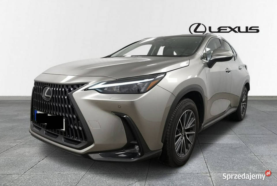 Lexus NX Lexus NX 350h AWD 242KM Business II (2021-)