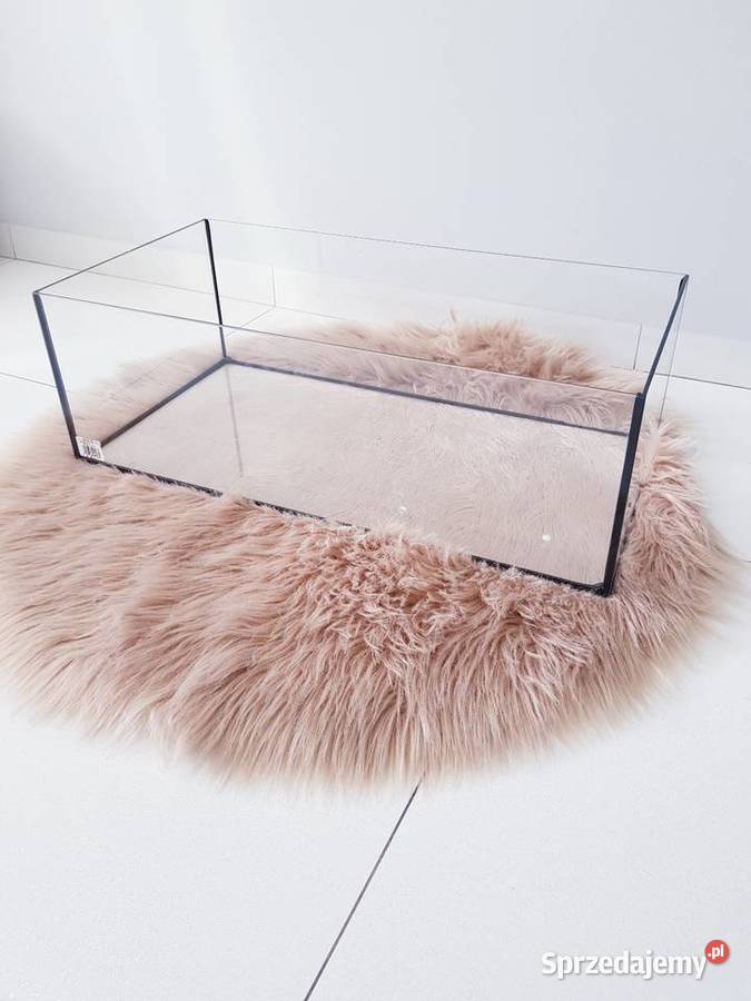 Akwarium terrarium aquaterrarium żółwia Dąbrowa Górnicza