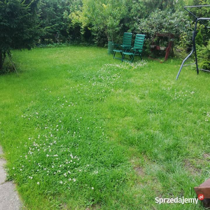 Działka ROD w Łowiczu