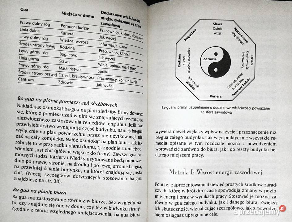 Podręcznik feng shui Wiedza i praktyka Daniel Rok wydania 2005 Pozostałe Chełm sprzedam