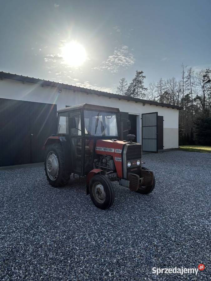 Ursus Massey Ferguson MF 255 Krowica Zawodnia