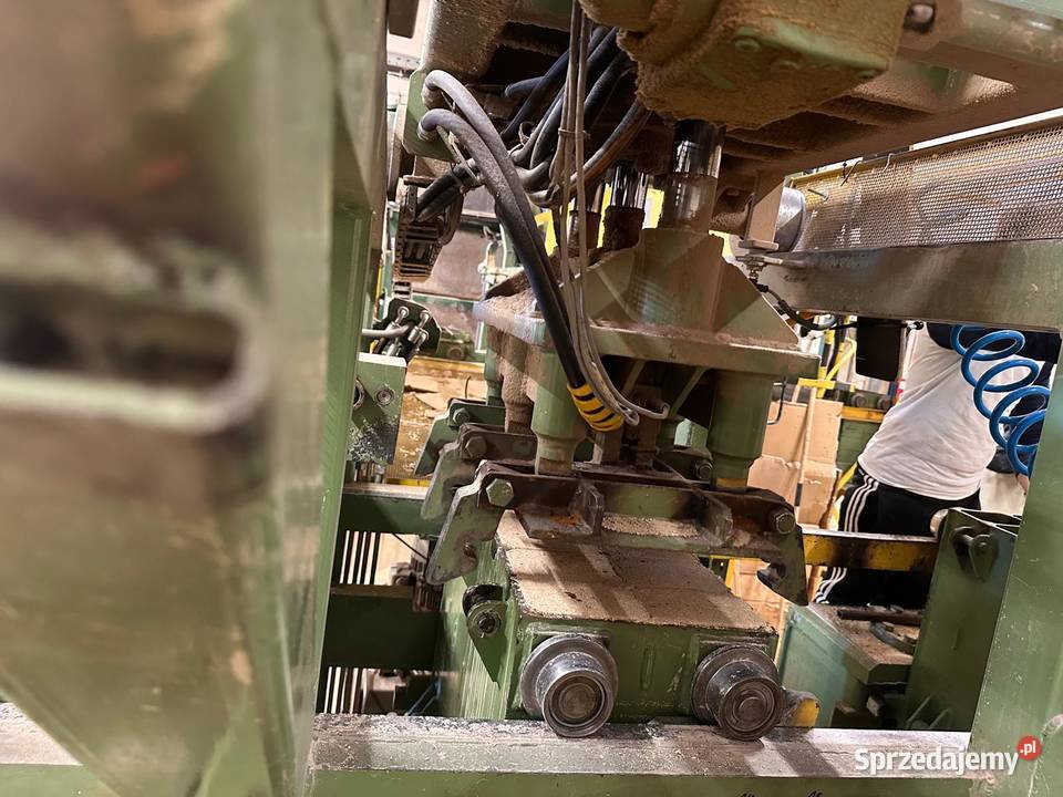 Kompletna linia technologiczna do produkcji Gorczenica