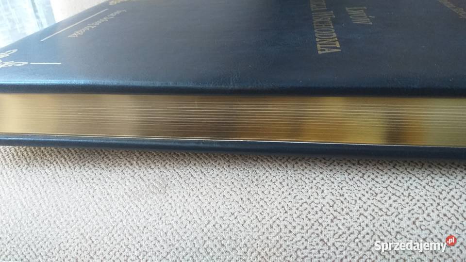 Lwow Galicja Wschodnia Rok wydania 2013 Kraków sprzedam