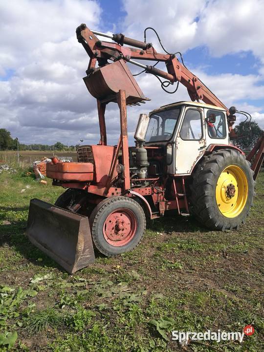 Sprzedam Białoruśke Brzozówka