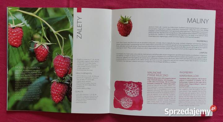 Folder Poczta Polska Światowa wystawa EXPO 2015 Wrocław