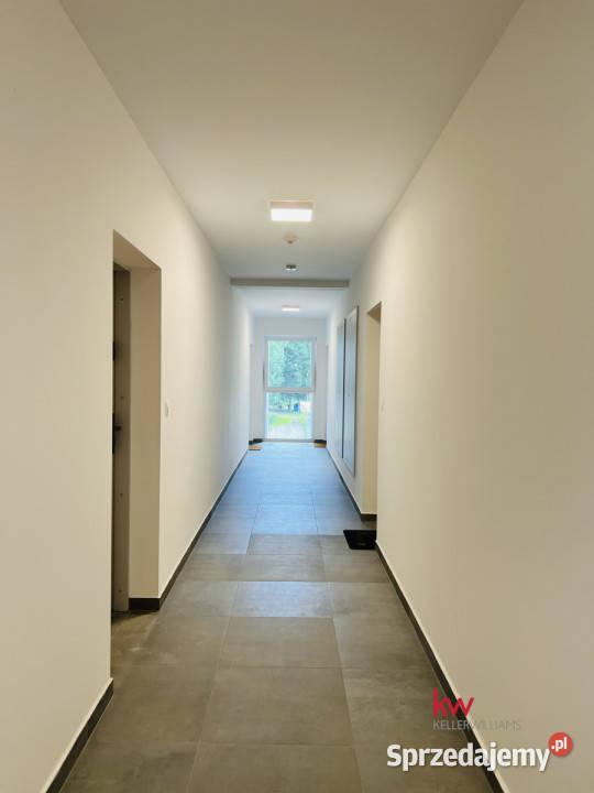 sprzedaży mieszkania 4908m2 2 pokoje Poznań Piętro 1