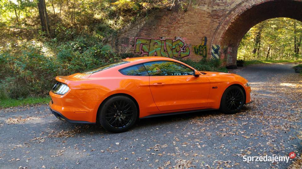 FORD MUSTANG GT V8 450 112020 SALON POLSKA 5038cm3 lubuskie Zielona Góra